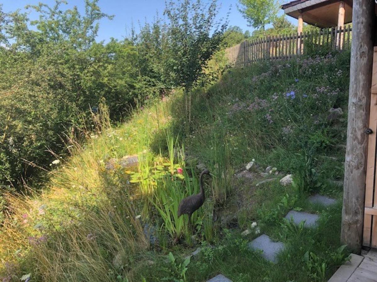 Haus Leenja Beverungen Exterior foto